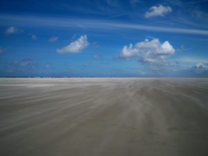 Windig heute am Kalfamer (Ostende) ...