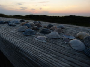 Abends auf dem Dree Water Utkiek