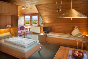 Studio 1 Wohn-Schlafraum b)